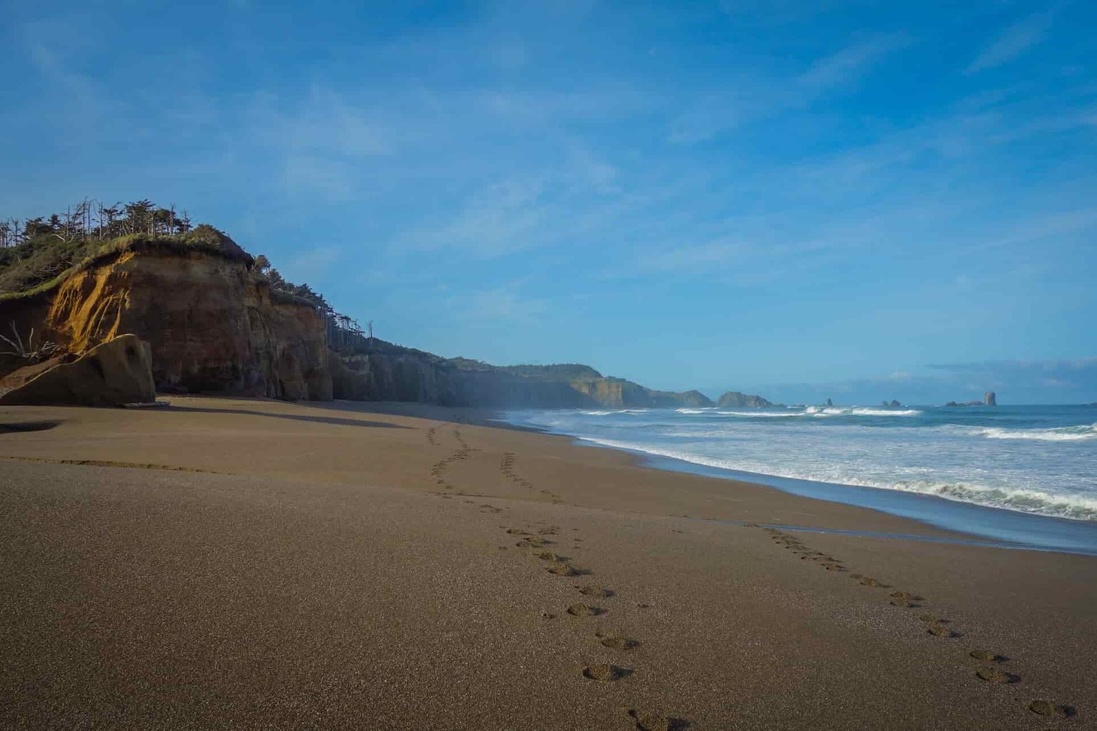footprints on the sand along the oregon coast