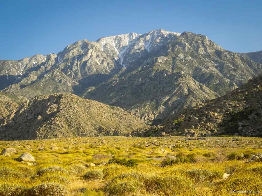A panoramic shot of a yellow grassland with mountains behind it