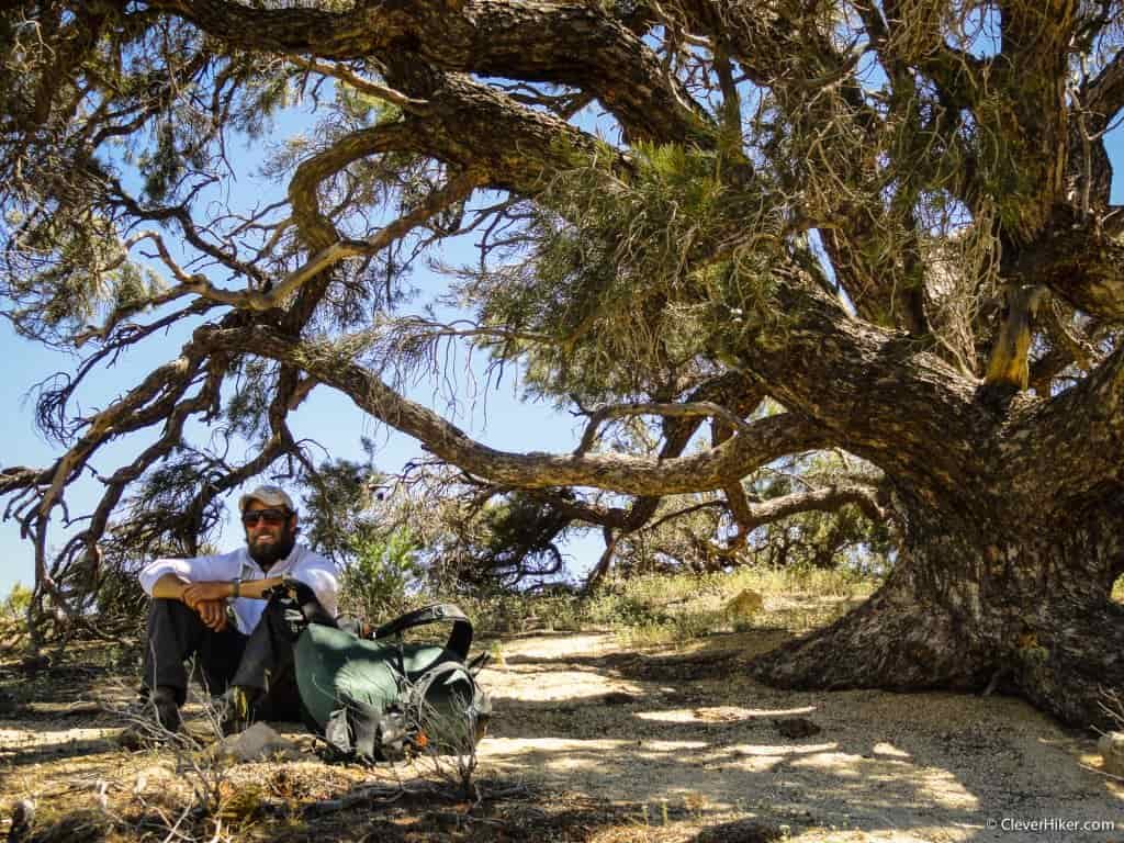A hiker sits in the shade of a tree