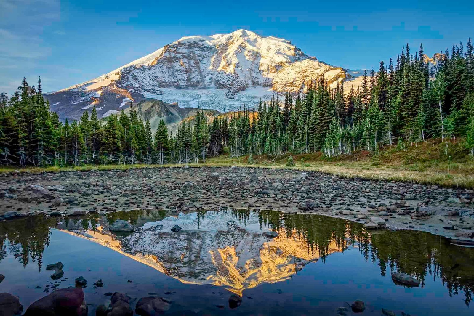 Mt. Rainier from the Wonderland Trail