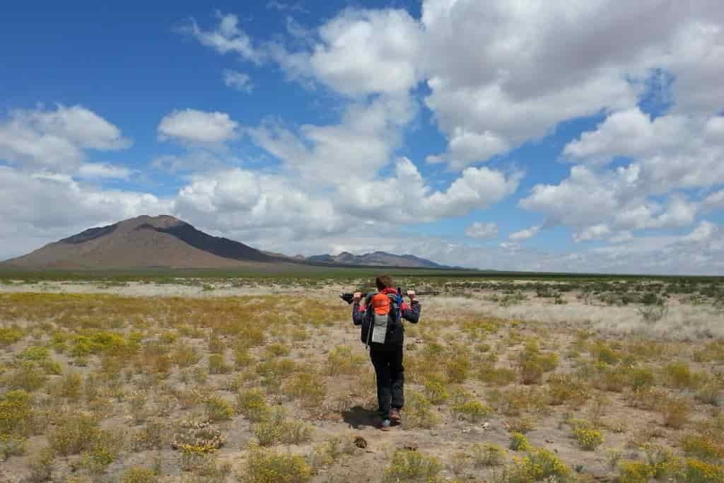 A hiker walks across an arid fielr with scatted brush and wildflowers