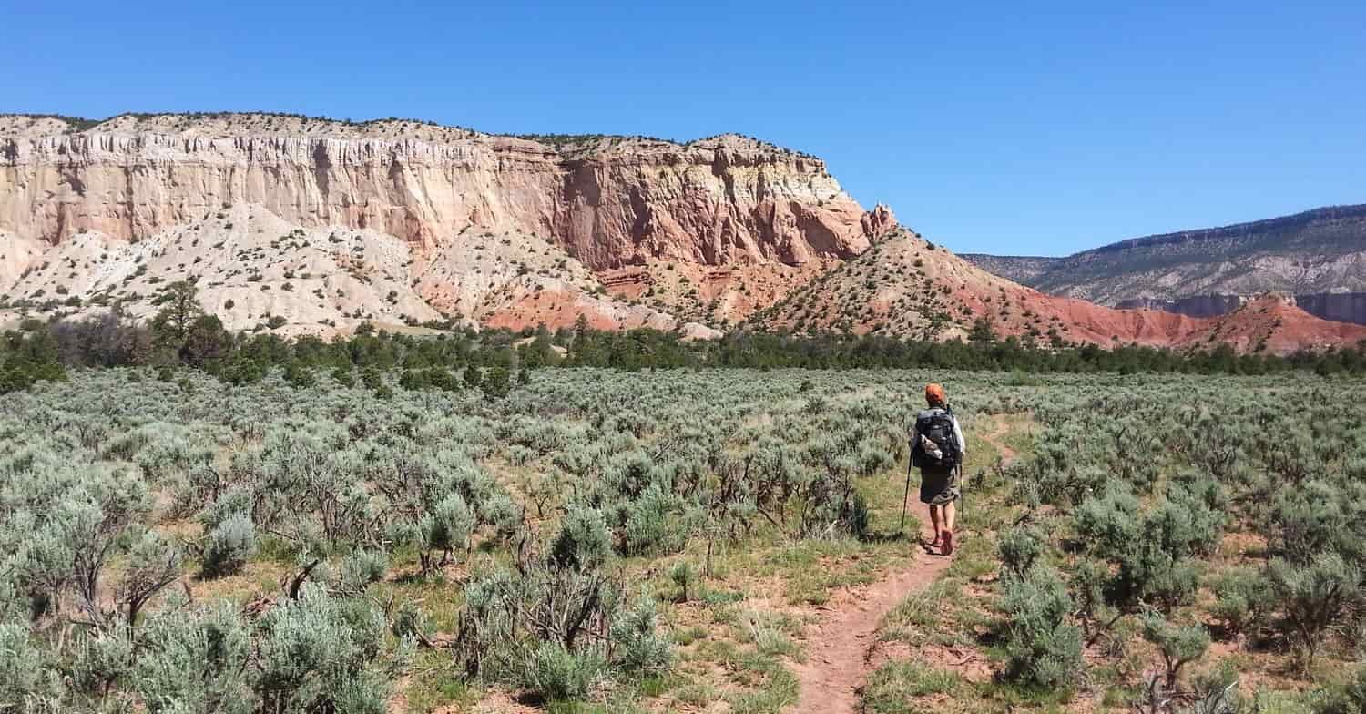 Rear view of a hiker walking through desert scrub towards a red mountain in the distance
