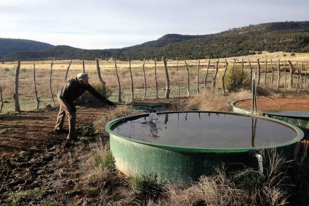 A circular tank holds water for cattle on a desert ranch