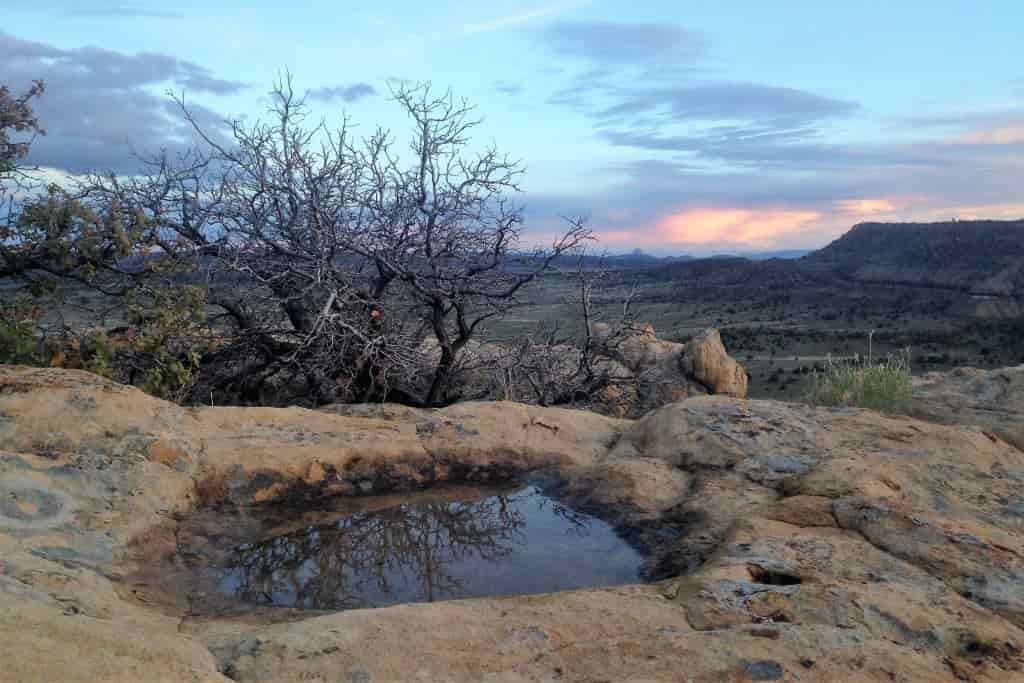 A shallow pothole in a desert rock bed holds water for people and animals