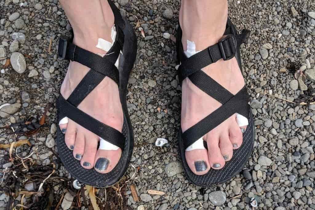 A hiker's feet with several bandages under her sandal straps