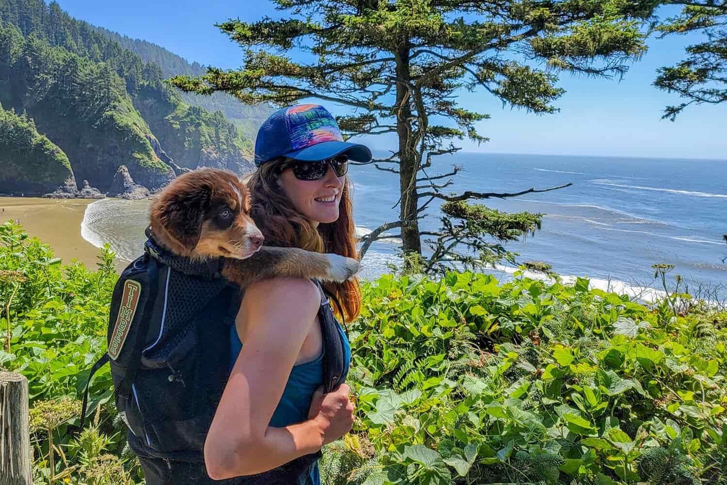 a puppy in a dog carrier backpack on the oregon coast