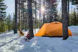 The NEMO Kunai 3P four-season tent in a snowy winter camping scene in the woods