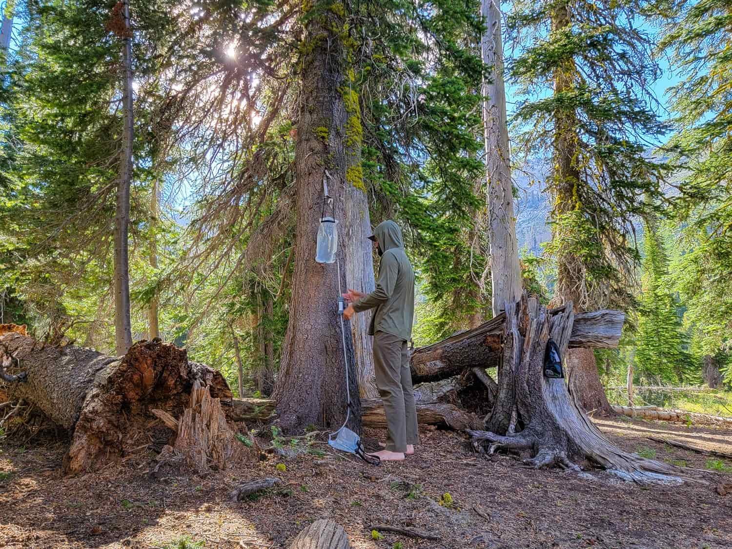 a backpacker in a forested sunny camp hangs their platypus gravityworks filter from a tree to treat water for cooking