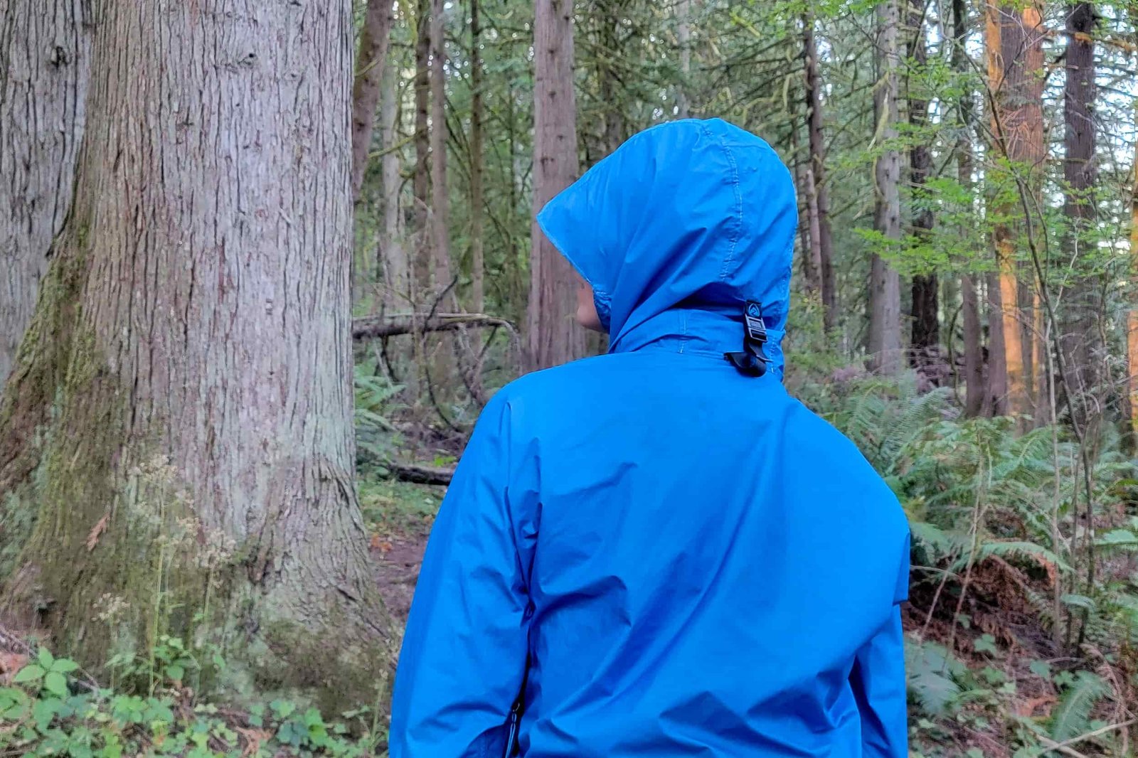 the back of the vertice zpacks rain jacket