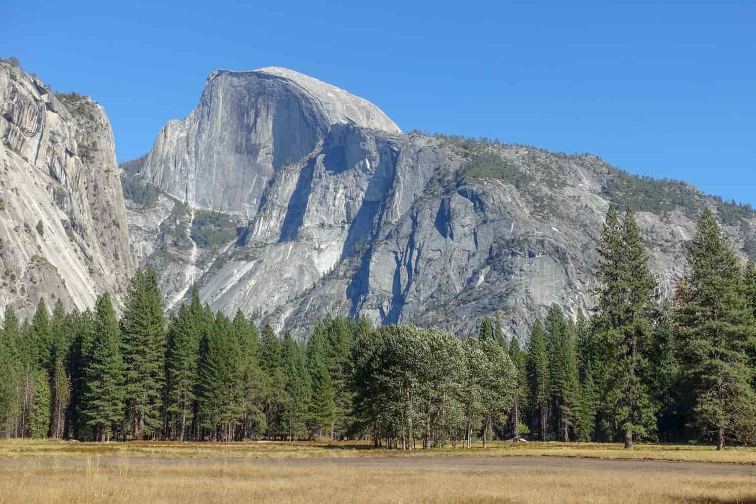 meadow and trees below Yosemite's granite wall named Half Dome.