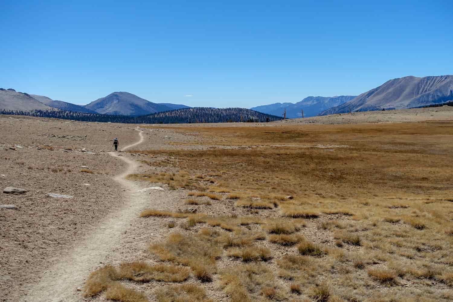 A JMT backpacker on the trail in a high sierra basin on a sunny day.