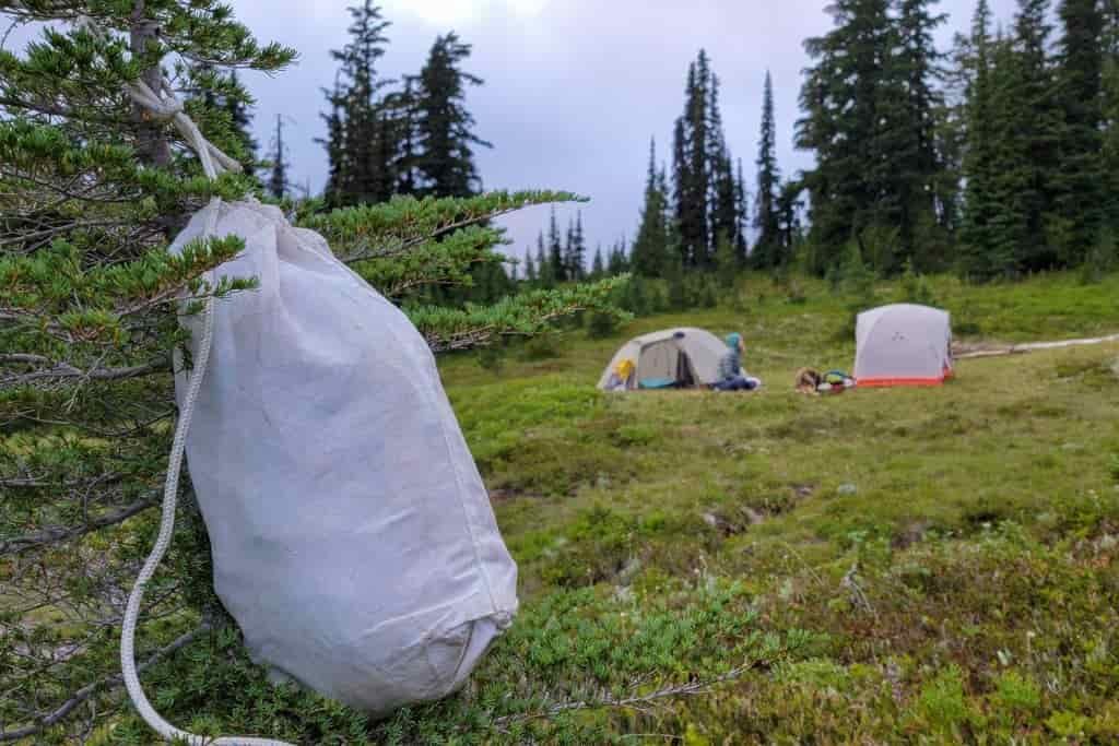 food bag hung in a tree away from tents