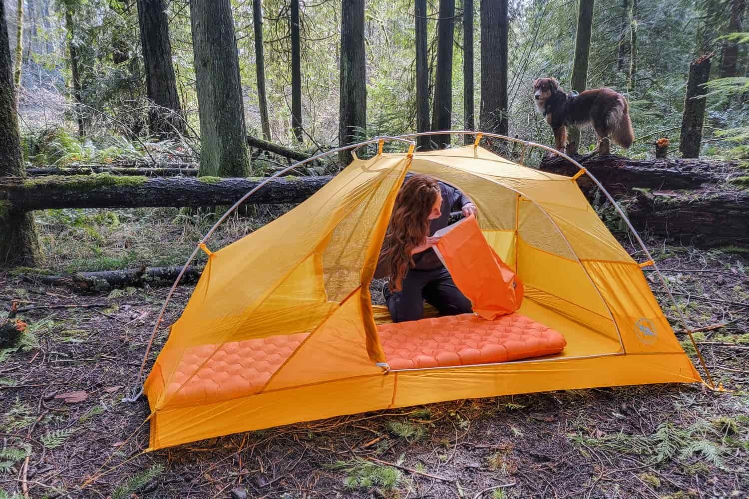 a backpacker inside their tent inflating their Big Agnes Zoom Ultralight sleeping pad with the pump sack in their hands to add air to the bag and then into the pad. A dog is in the background on a log in the forest.