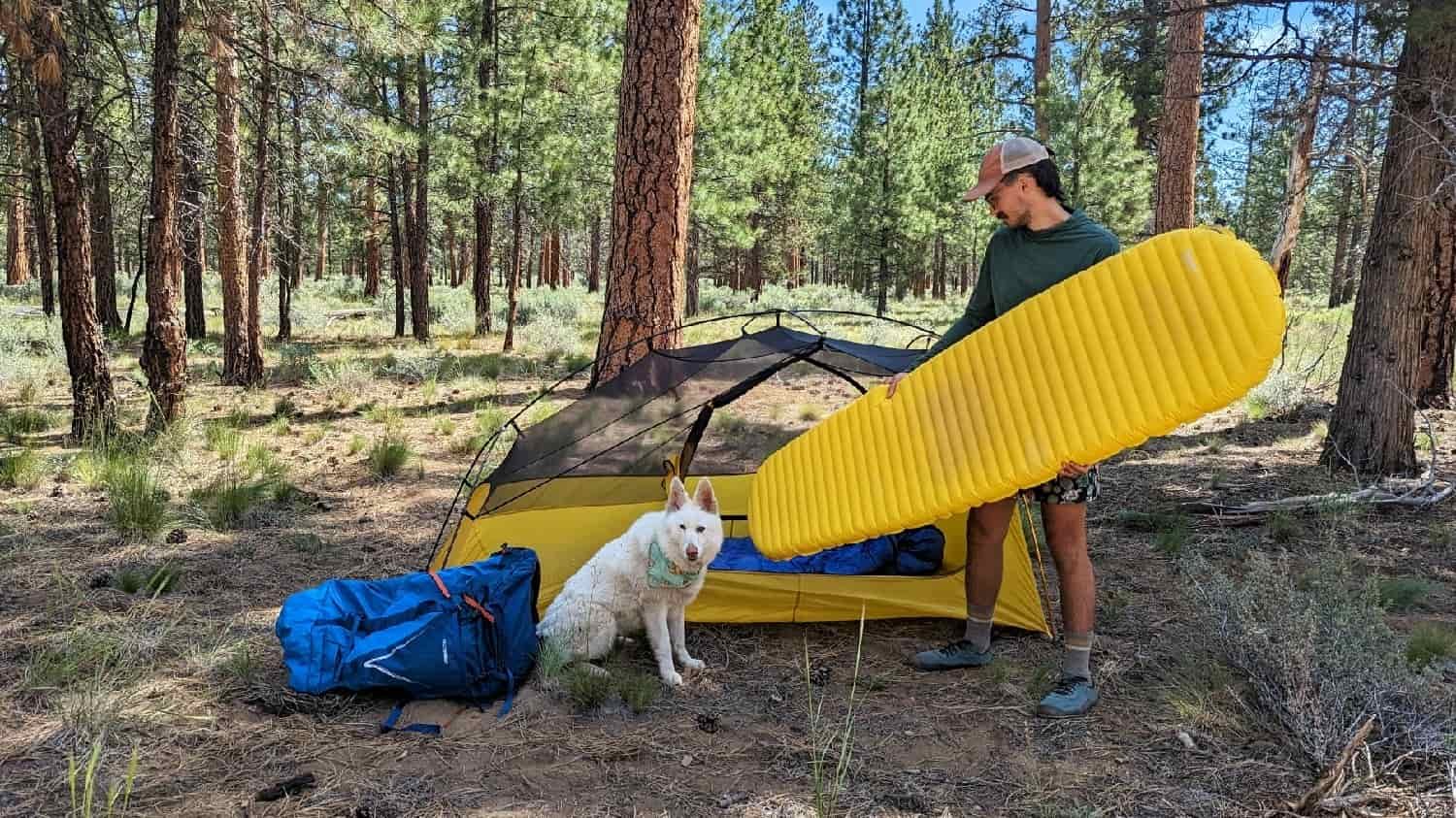 a dog seated in front a tent with a backpacker holding their inflated sleeping pad standing in front of the tent door
