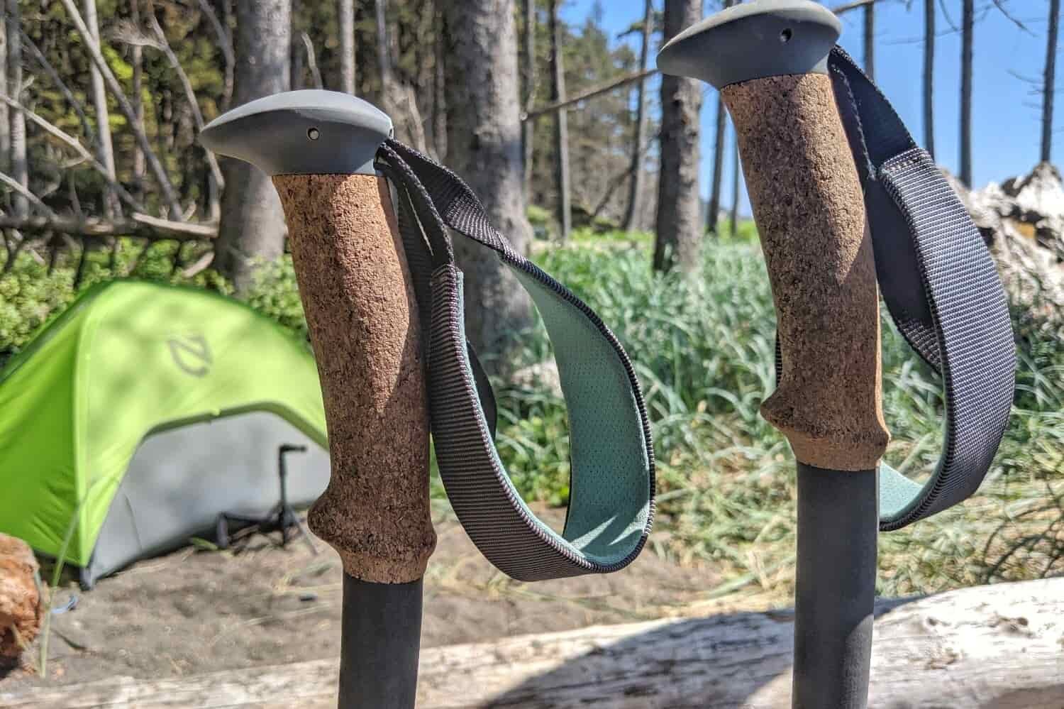 the handles of a pair of lightweight cork trekking poles with a nemo tent set up behind in a sunny burn area in oregon