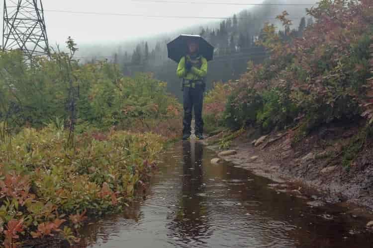 A male hiker stands on the edge of a flooded trail while holding an umbrella over his head 