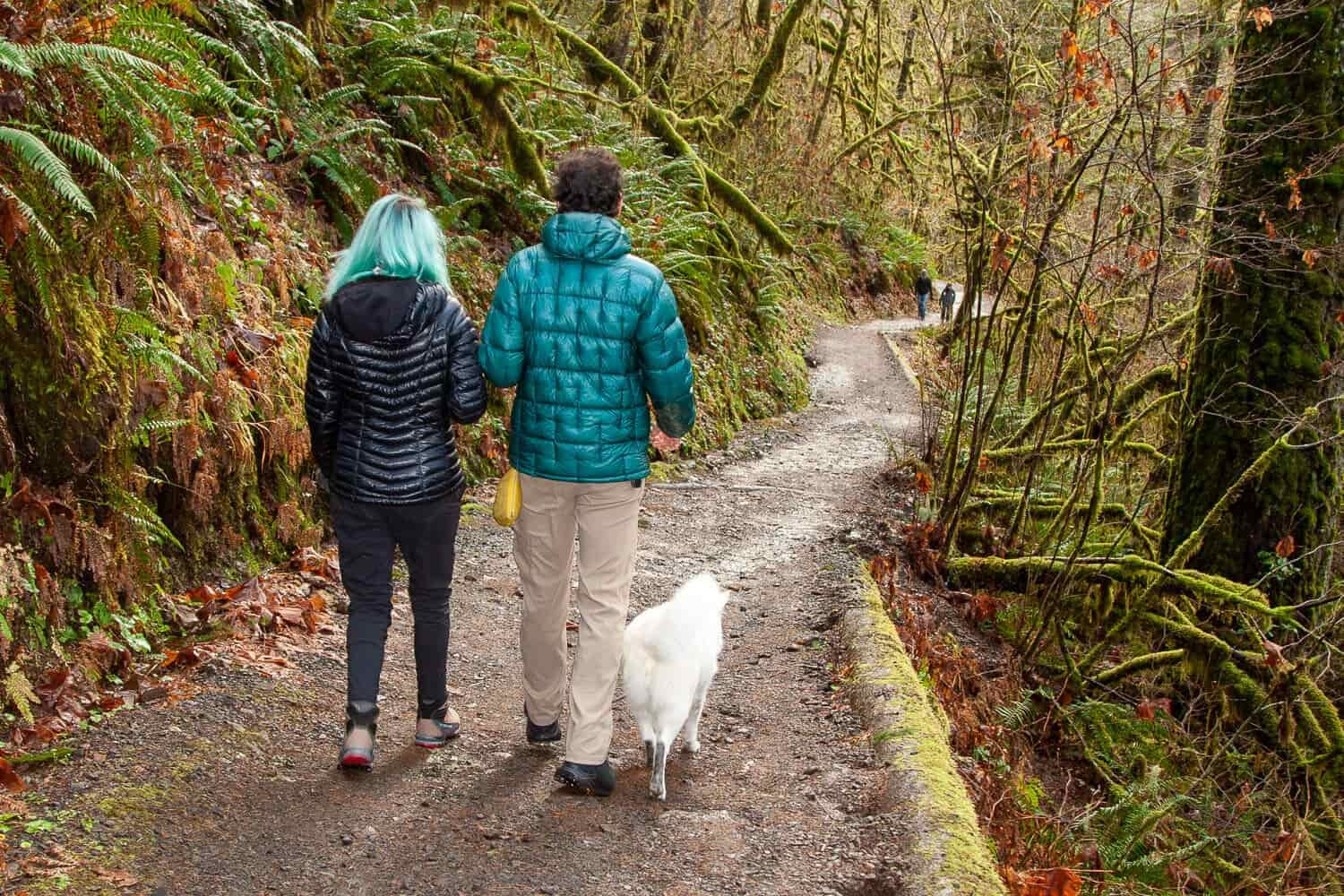 A pair of hikers and a dog walk down a trail in a temperate rain forest in the Pacific Northwest