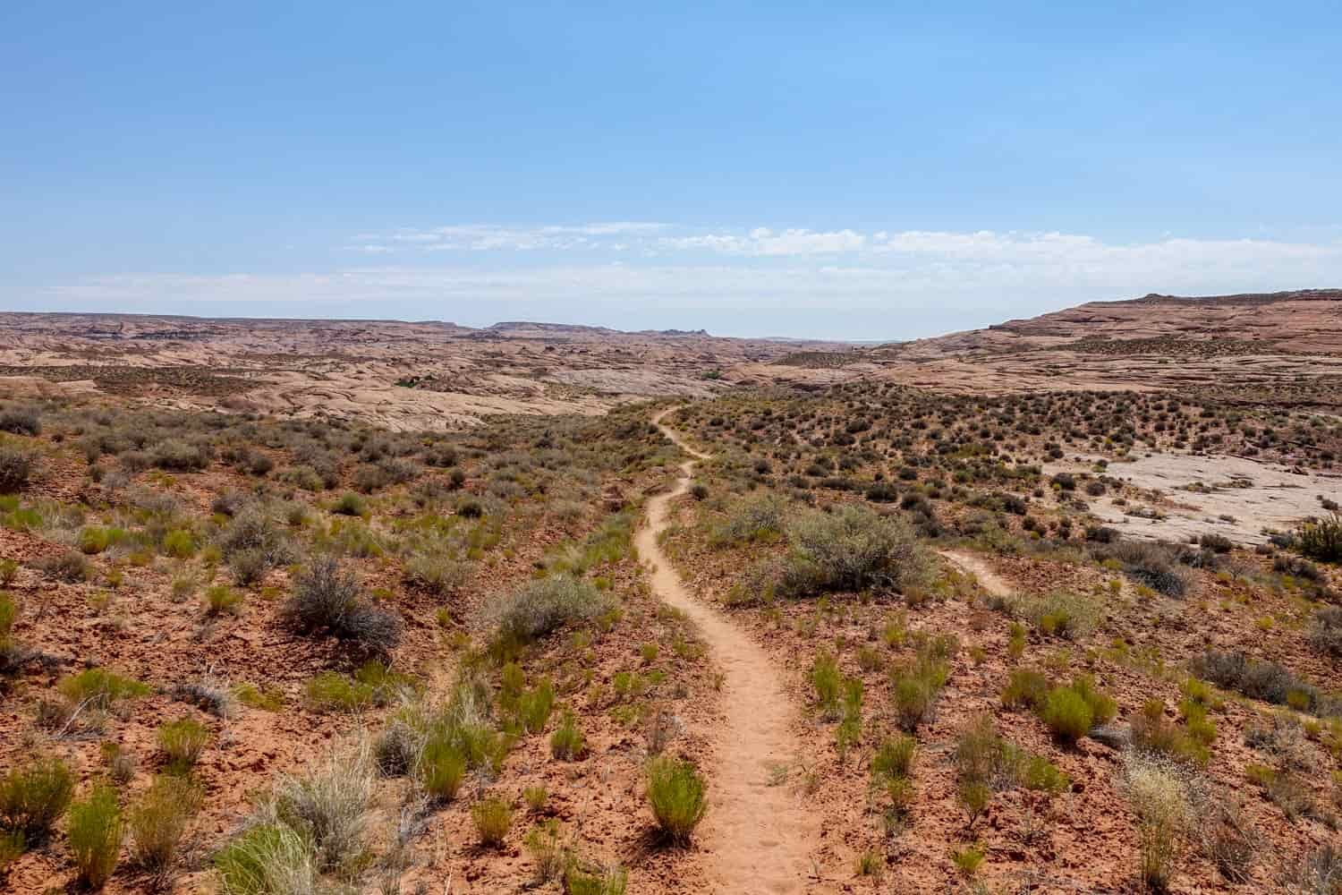 a trail through the desert with a blue sky