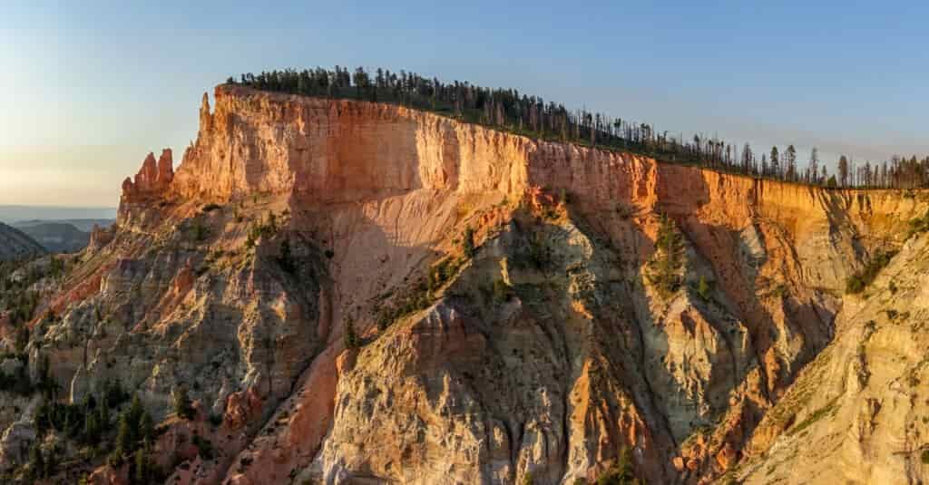 A peach-colored rocky ridge with red rock spires and green pine trees on top
