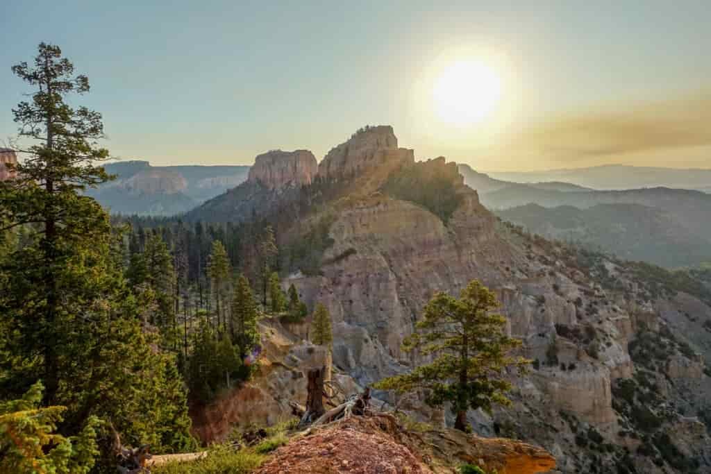 Sun setting behind light-colored mountains with evergreen trees in the foreground