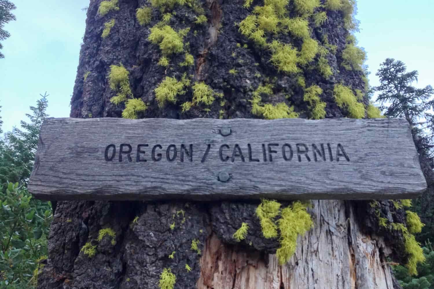 wooden sign with the words Oregon/California on a tree