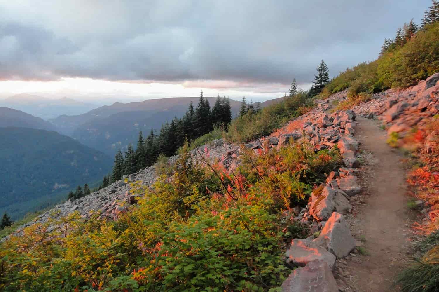 alpenglow on a side hill trail