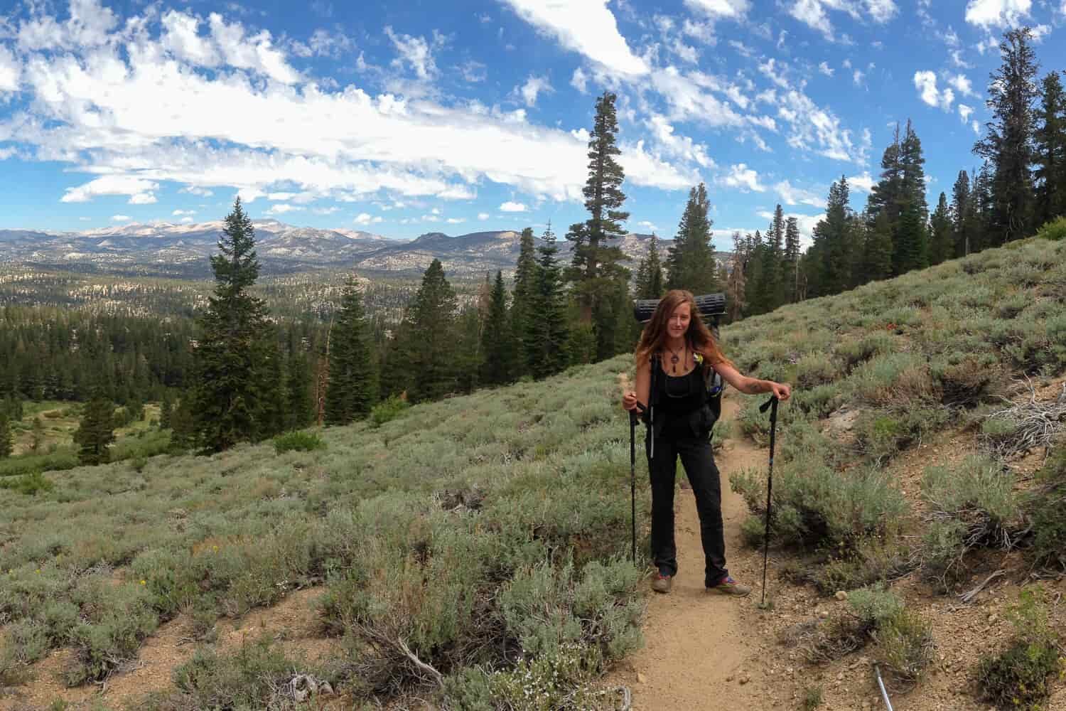 backpacker on the PCT walking on a sunny day through sage brush and evergreen forests.