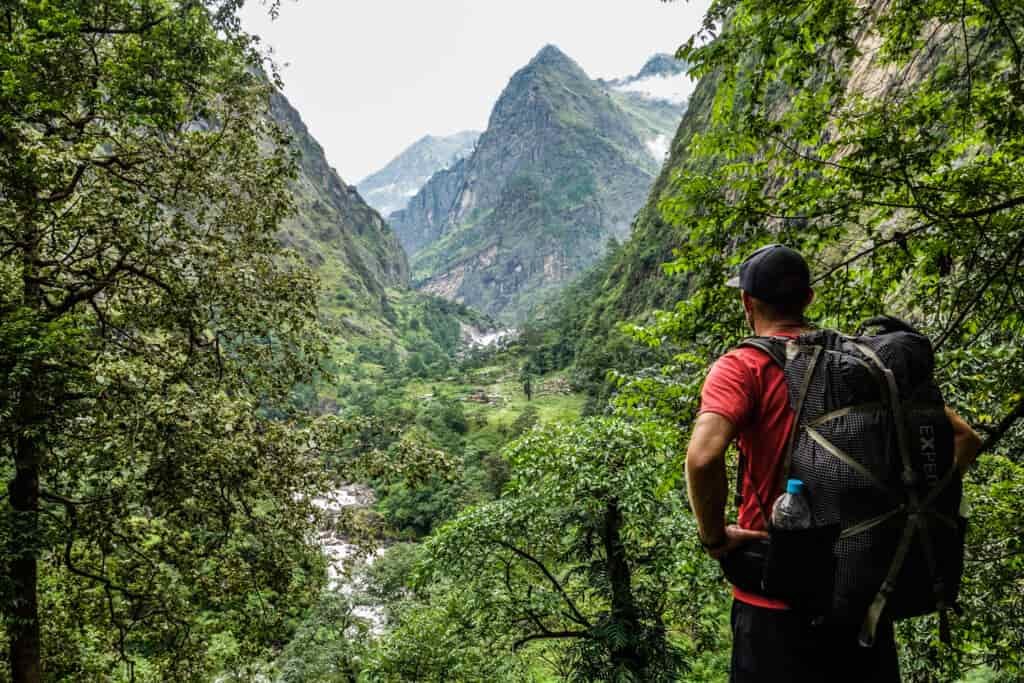 A hiker looks through the trees down to a green mountain valley