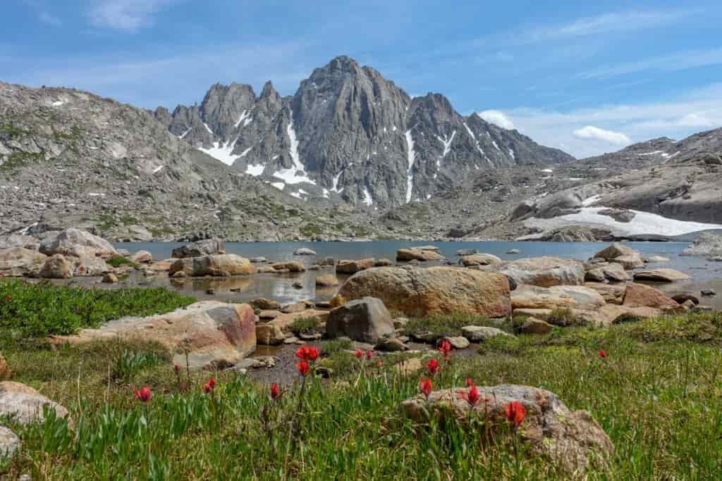 red paintbrush flowers growing in an alpine meadow in the foreground and a lake in the midground with granite peaks with some snow in the background on a sunny day