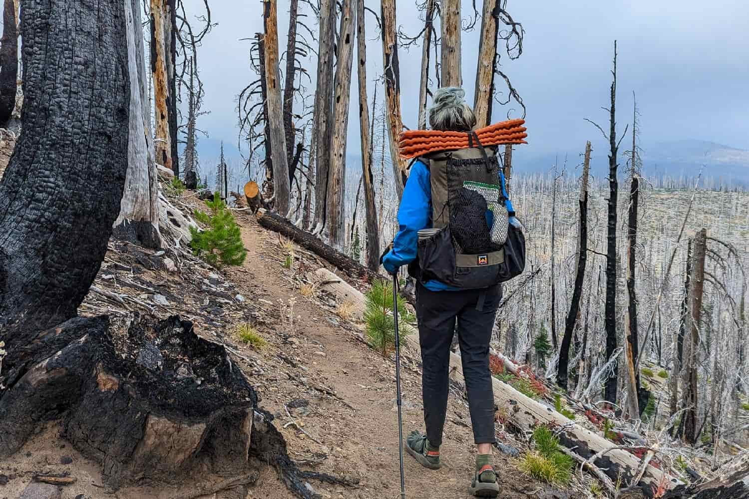 backpacker on the three sisters backpacking loop on a cloudy day hiking through a burn area