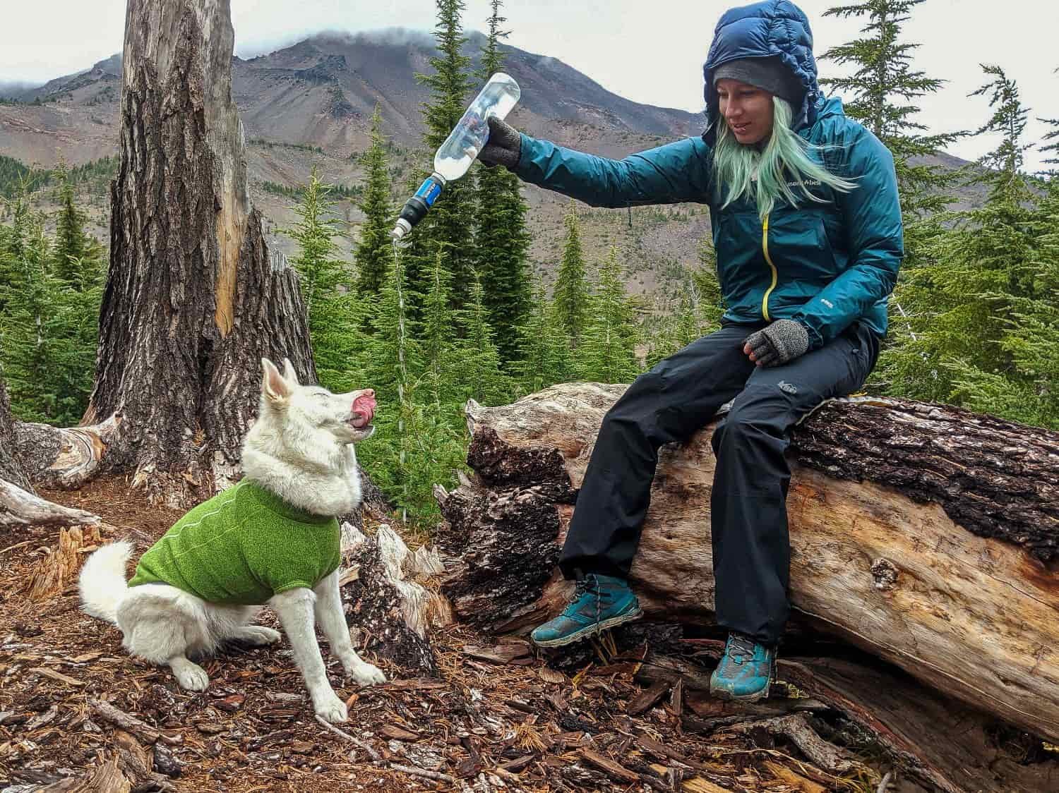 backpacker sitting on a log giving water to their dog from a sawyer squeeze bottle.