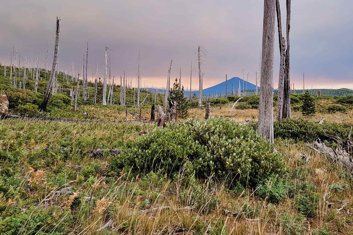 pink and gray clouds surrounding a black butte to the east