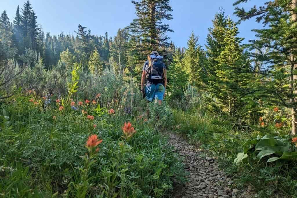 backpacker walking through a wildflower meadow in the strawberry mountains
