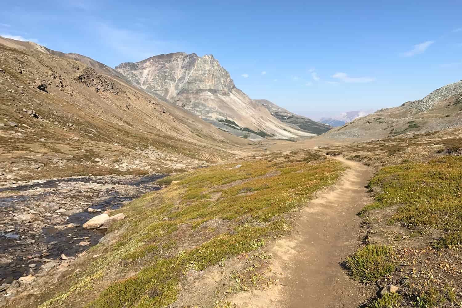 the start of the skyline trail in jasper national park