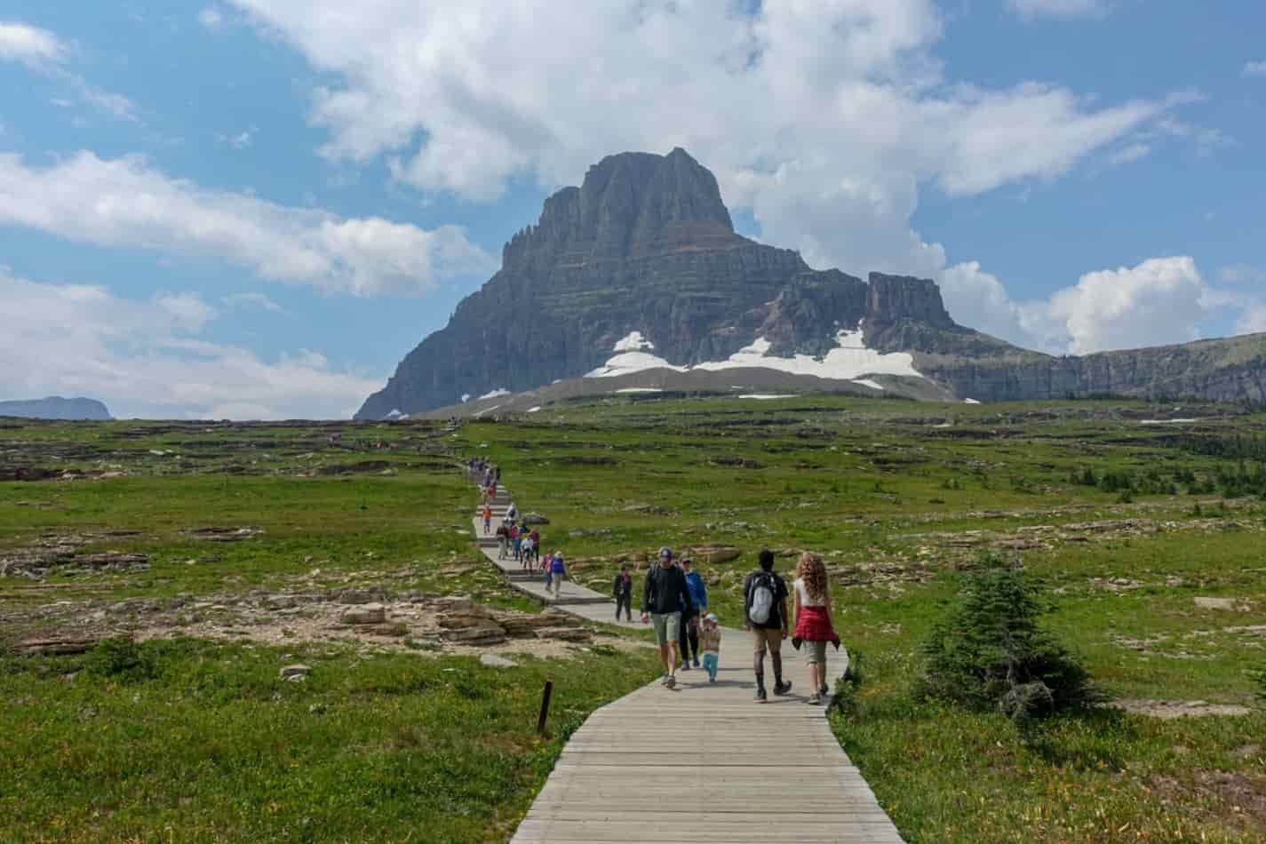 people walking on a boardwalk through an alpine meadow near logan pass in glacier national park