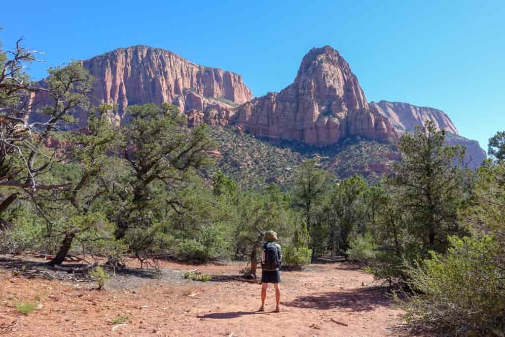 a backpacker wearing a bucket hat on a flat sandy section of the trail in a sparse forest below a red mesa and spire on the zion traverse