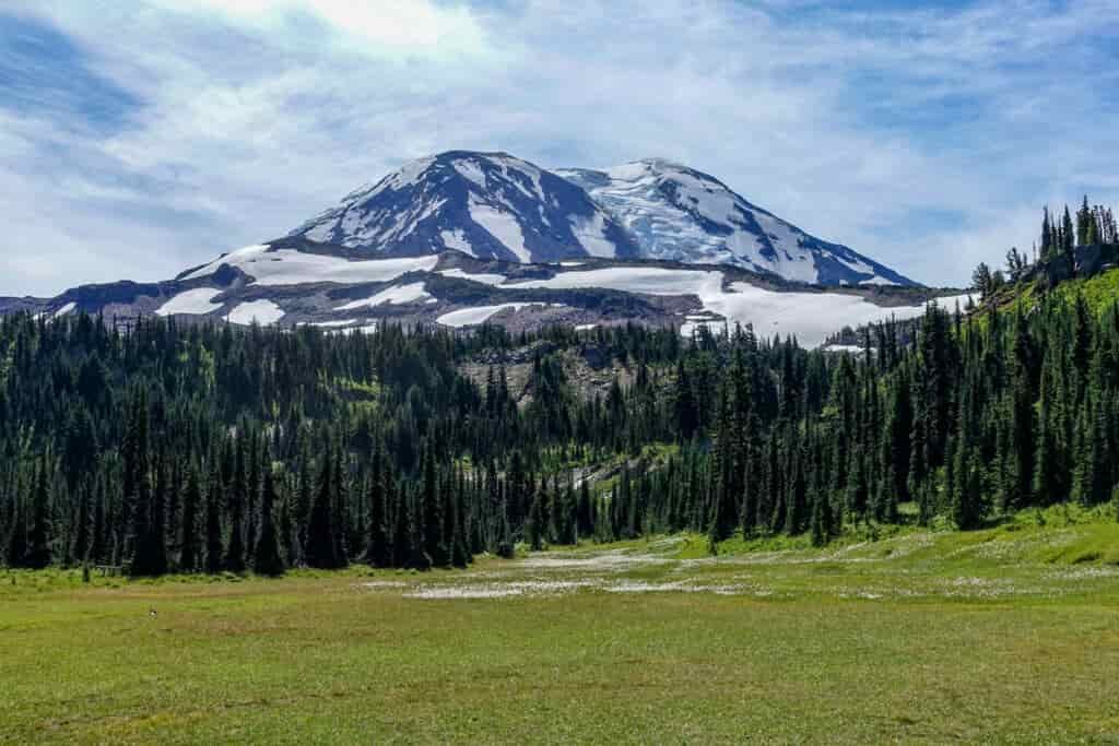 Looking up from a green valley up to a large, snow-capped mountain
