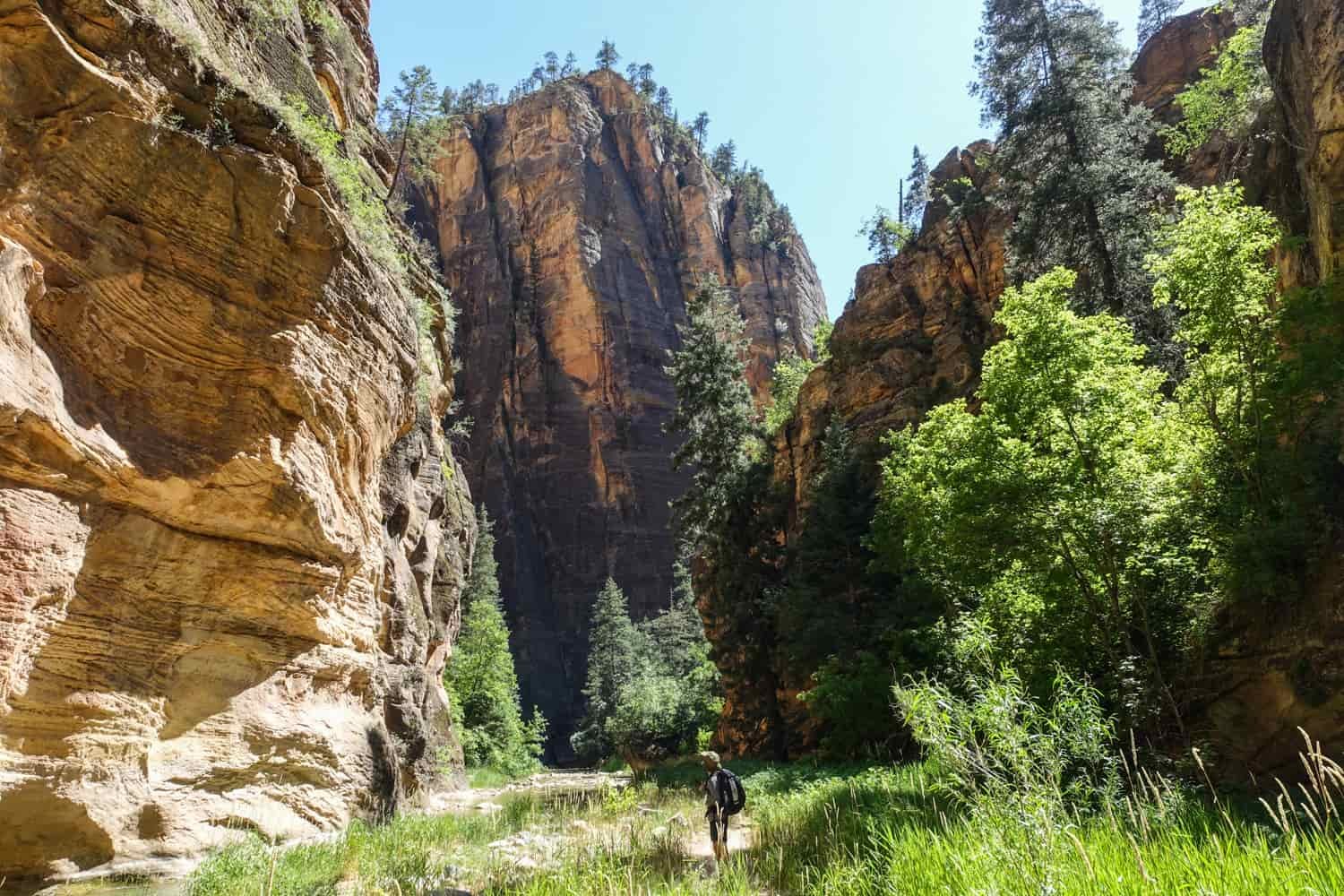 lush green grasses and trees grip onto the river banks and cliffs of the narrow's red and orange sandstone