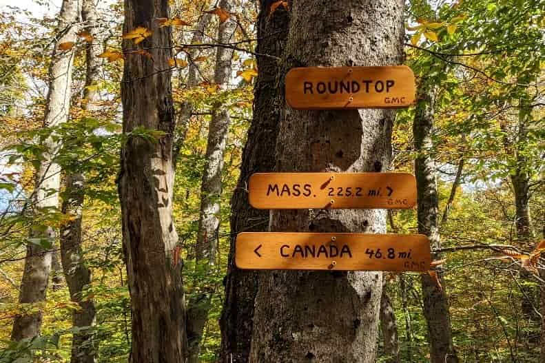 signs showing Canada, Massachusettes distances on Vermont's long trail in a yellow and green fall foliage forest.
