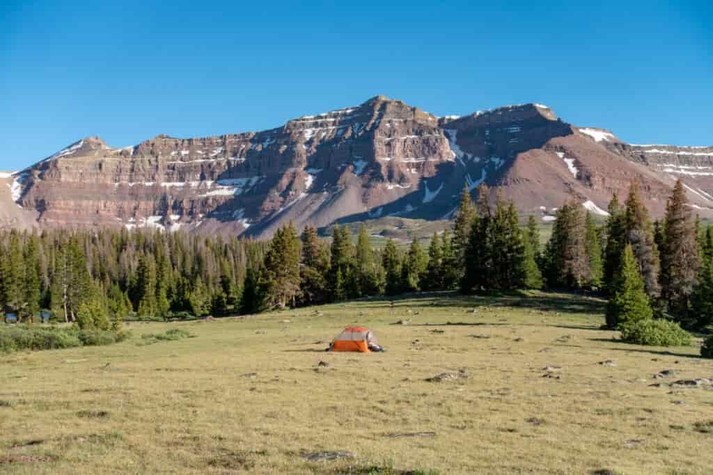 An orange tent pitched near a circle of pine trees beneath the mountains