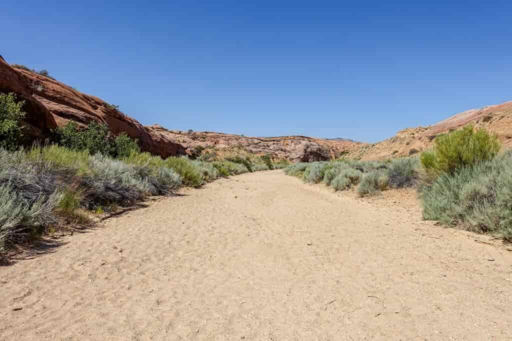 a sandy wash with desert foliage on either side