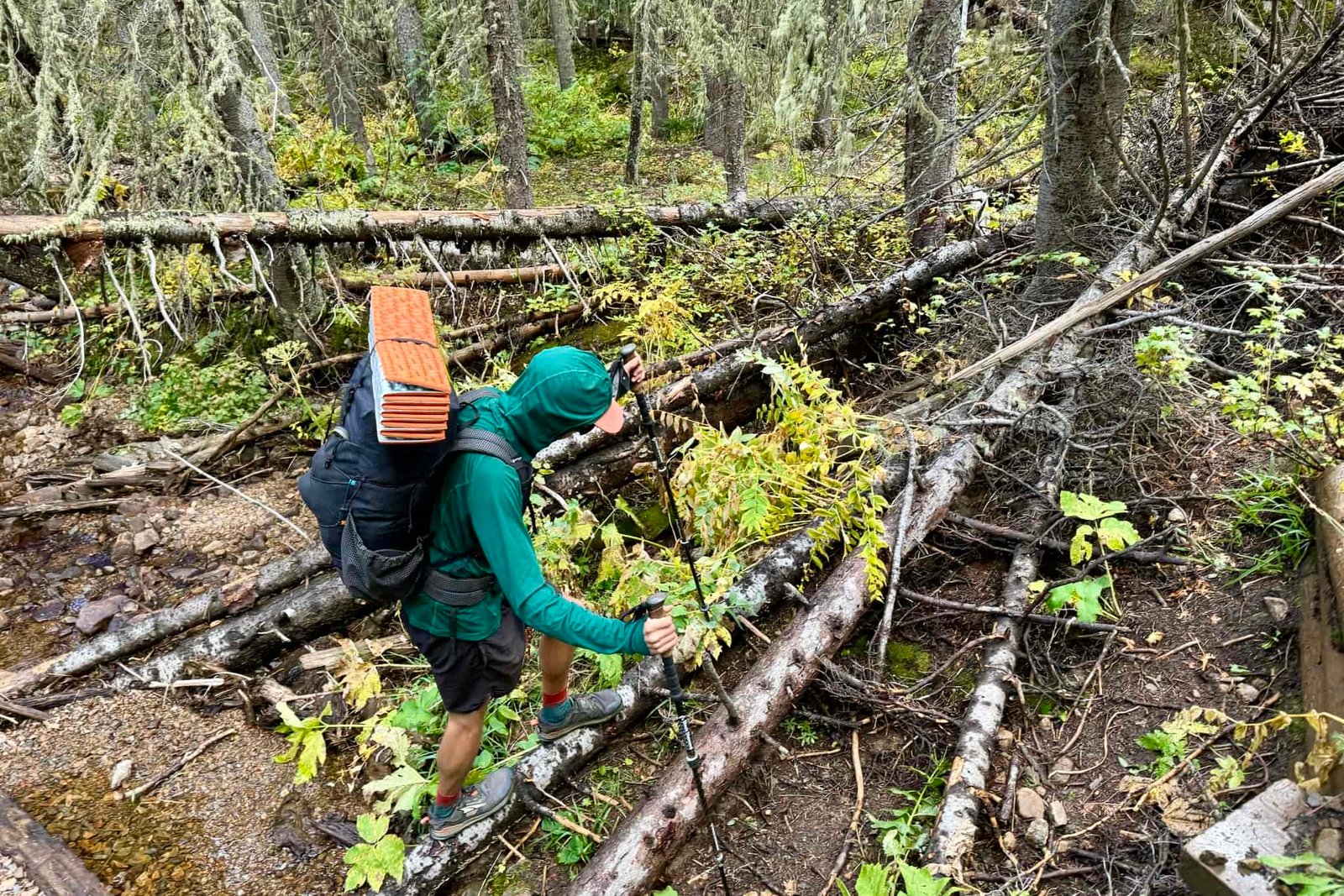 A hiker crossing over logs. He is wearing a pack and the Outdoor Research Echo Hoodie and using trekking poles. There are trees in the background.
