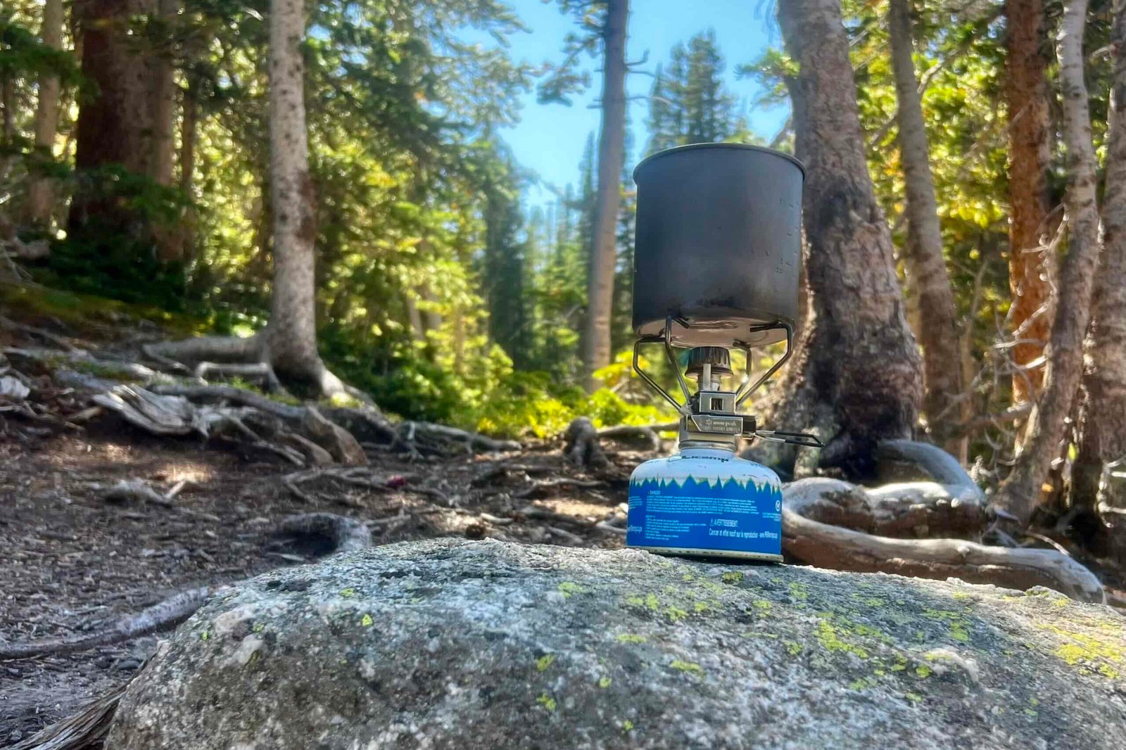 A low angle view of the Snow Peak Gigapower 2.0 sitting on a rock with trees in the background. The stove is installed with a small fuel canister, and a small cook pot is on the pot stand.