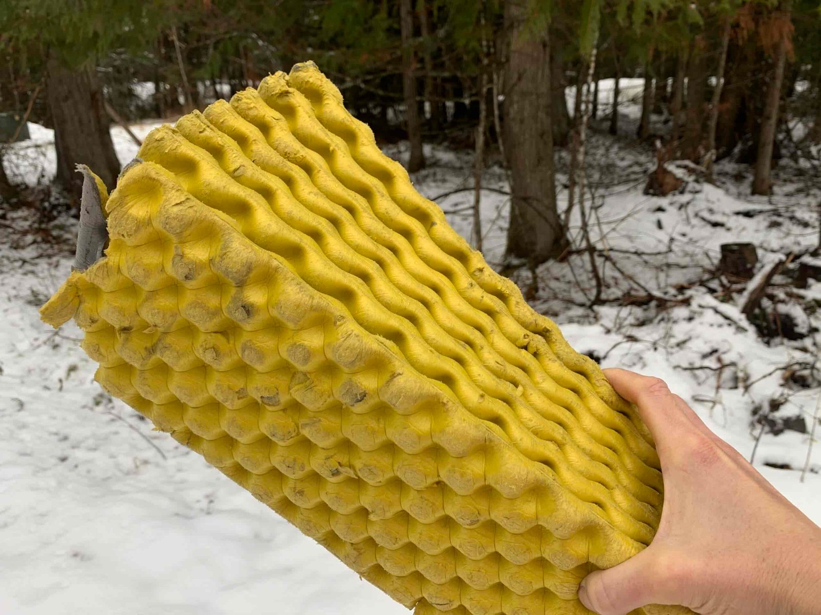 a hand holding a well-used therm-a-rest z lite sol to show its durability. The background is a forest covered in fresh snow.