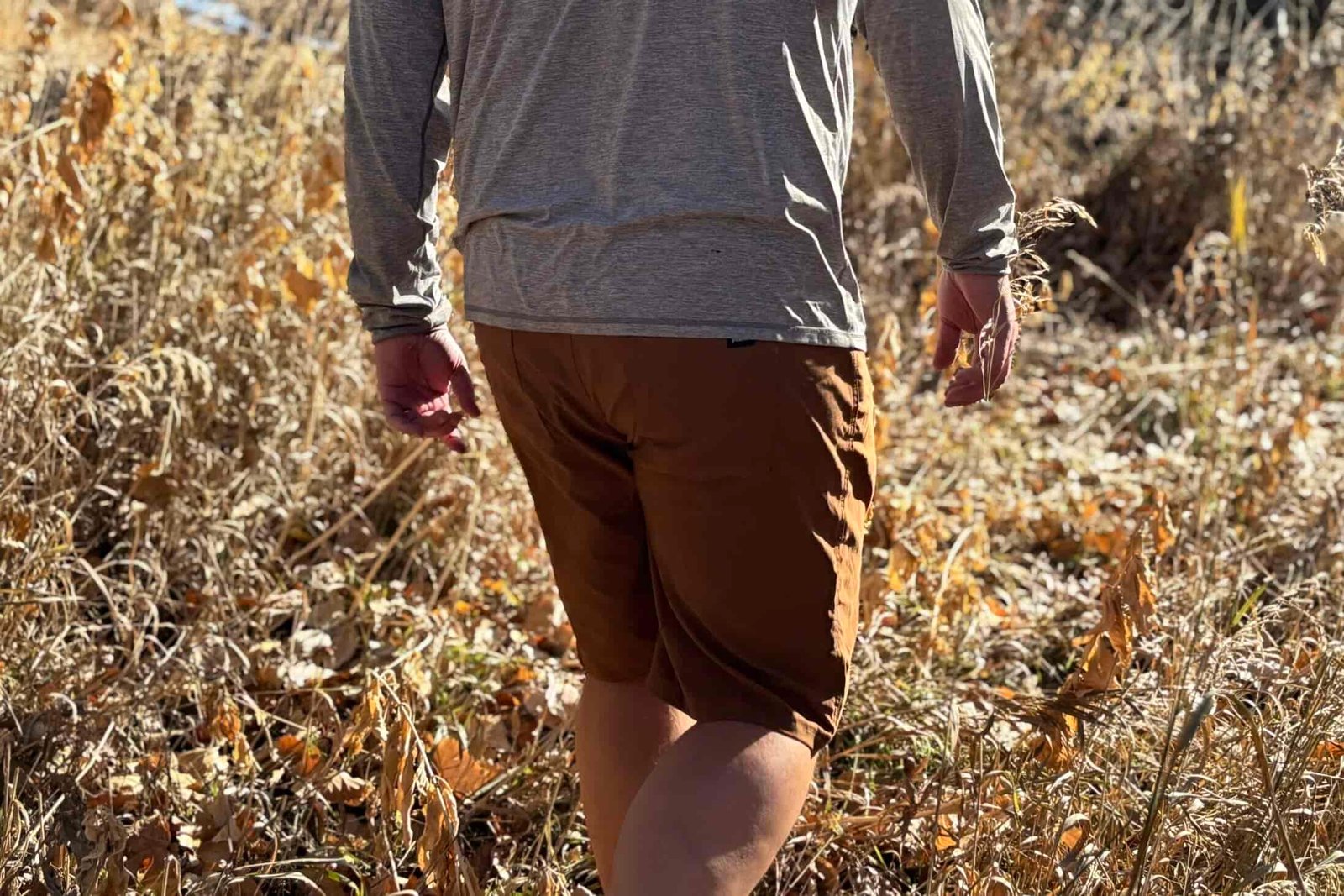 Man walks in the woods.
