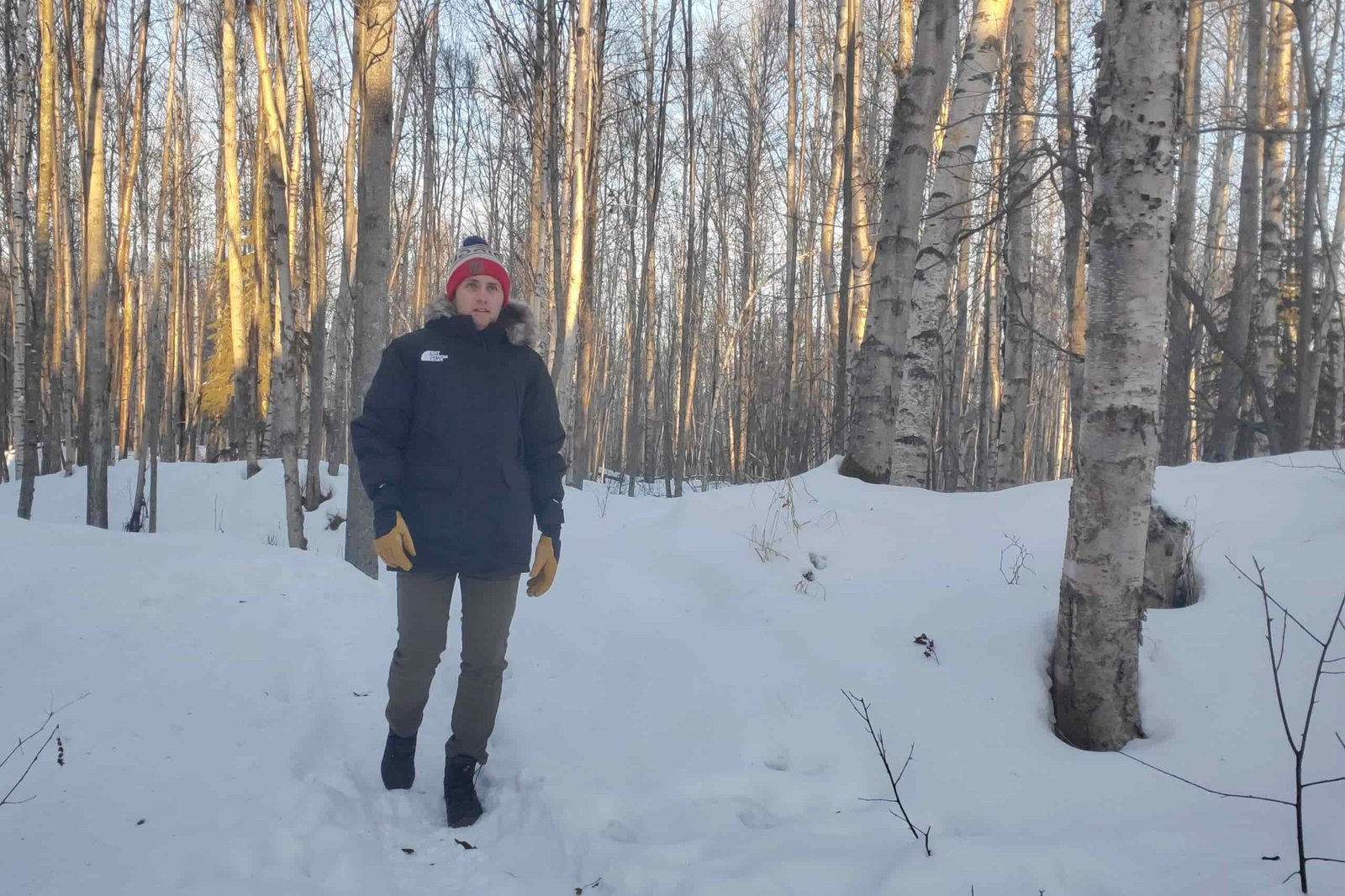 A man walks through a sunset forest