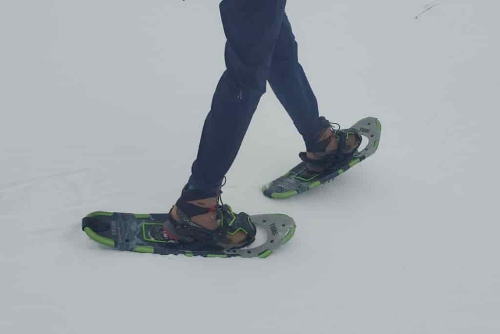 A closeup of snowshoes walking