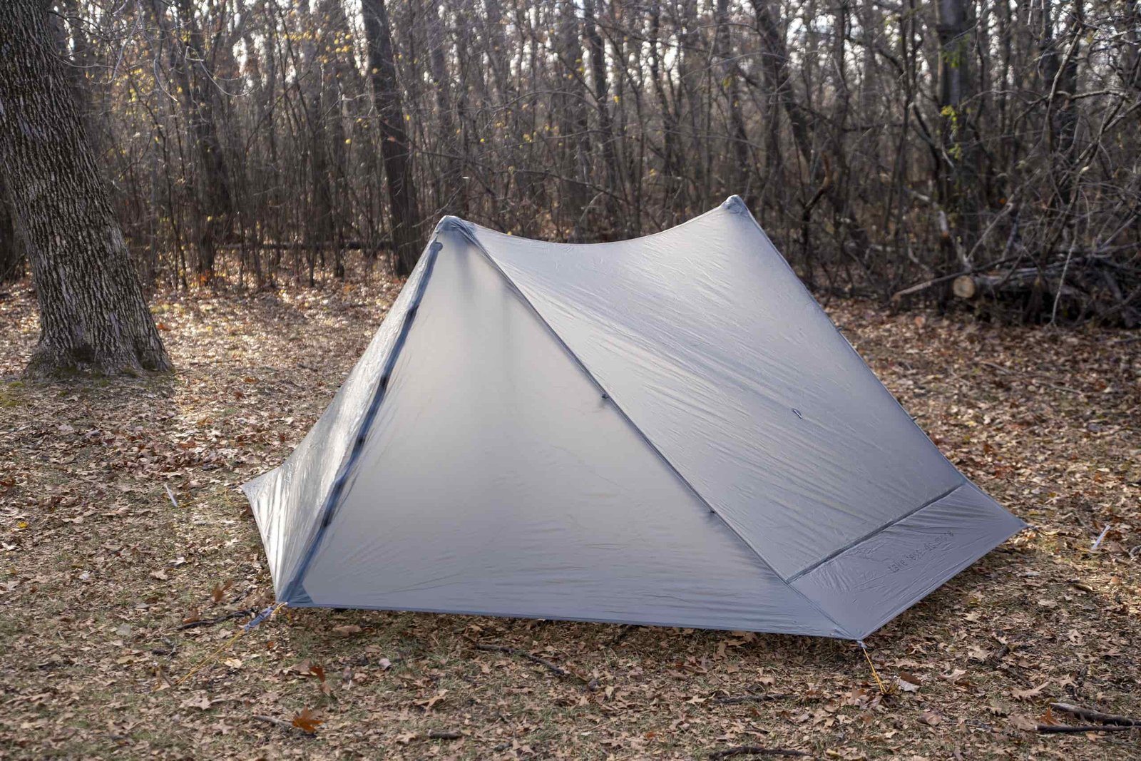 a trekking pole supported tent in a forest clearing