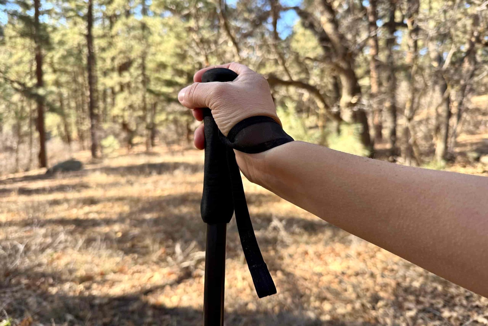 A close up of a hand holding the foam grip of the Durston Iceline pole with a forest in the background.