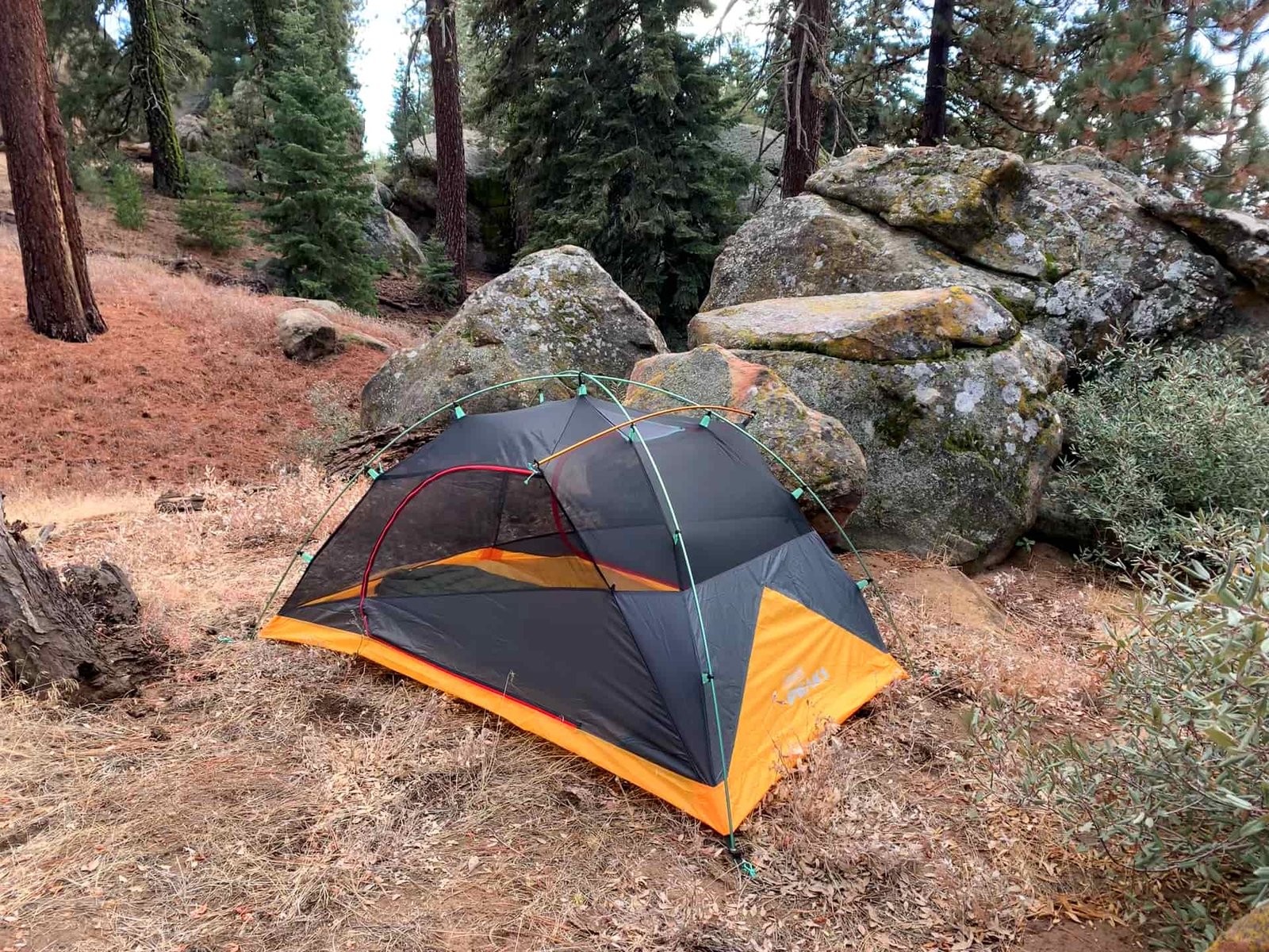 Three-quarter view of the Coleman Peak 1 with rainfly removed so it's just the inner mesh tent. Close by is a boulder and surrounding forest.